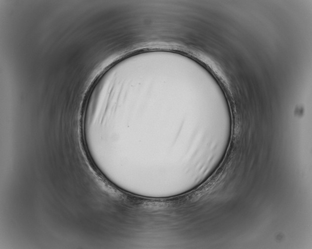 X0000096631237200803041057