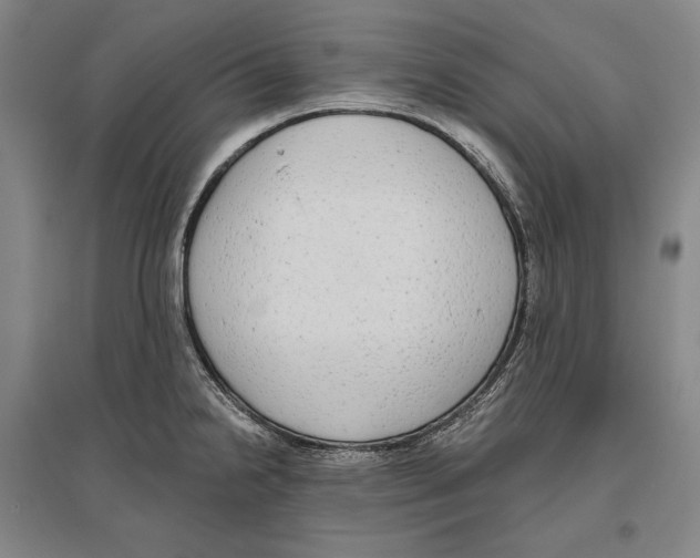 X0000096631238200803041057