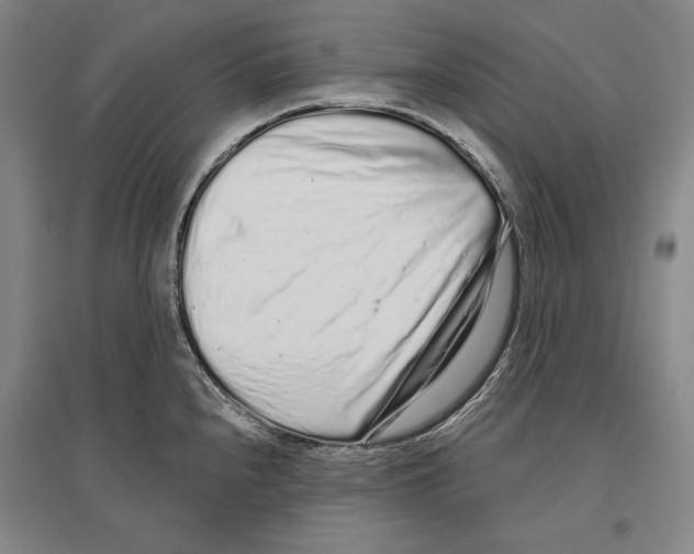 X0000096631240200803041057