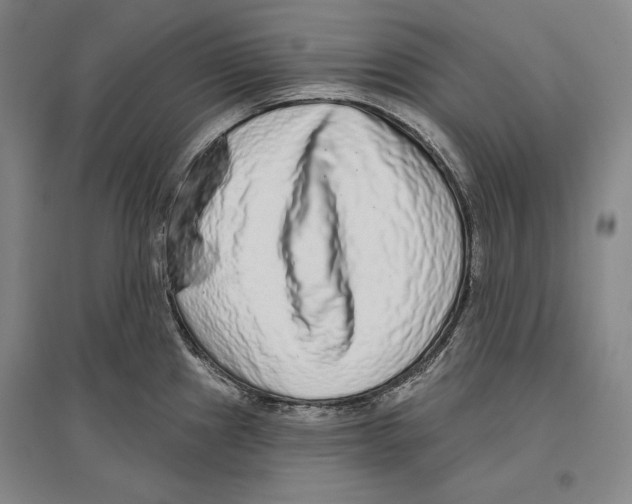 X0000096631241200803041057