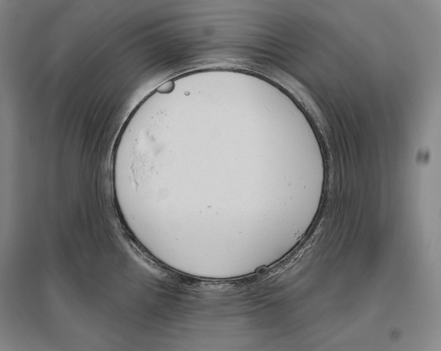 X0000096631242200803041057