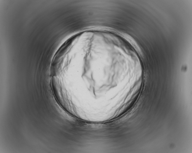 X0000096631244200803041057