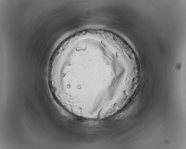 X0000096631245200803041057