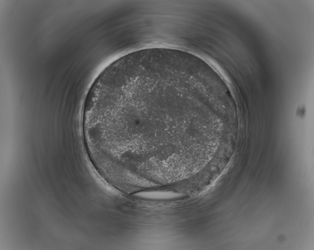 X0000096631246200803041057