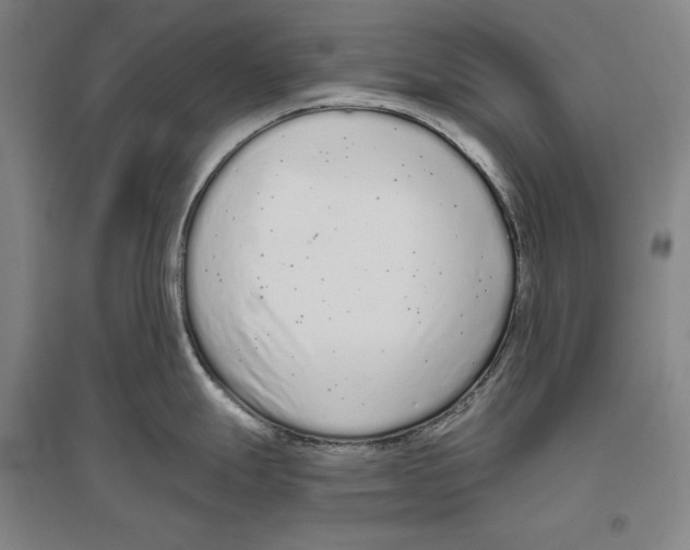 X0000096631247200803041057