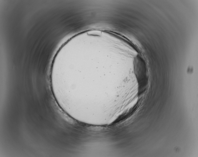 X0000096631248200803041057