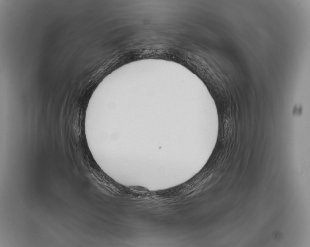 X0000096631250200803041057