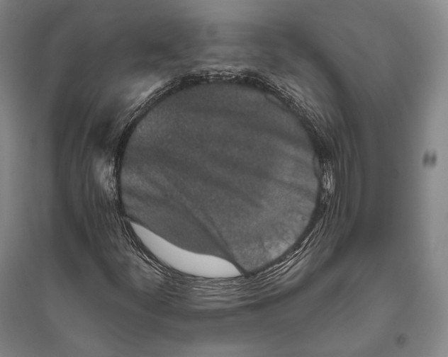 X0000096631252200803041057