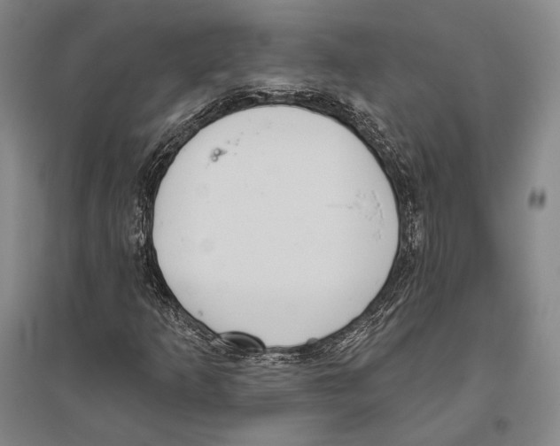 X0000096631253200803041057