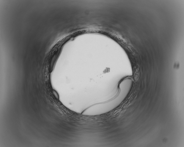 X0000096631255200803041057