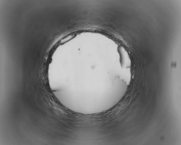 X0000096631256200803041056