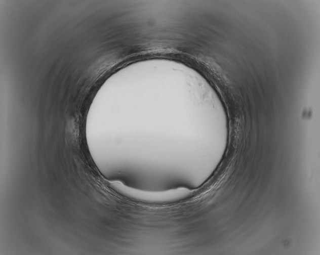 X0000096631257200803041056