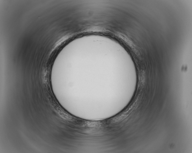 X0000096631258200803041056