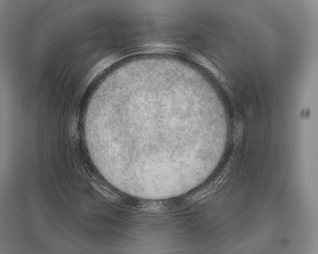 X0000096631259200803041056