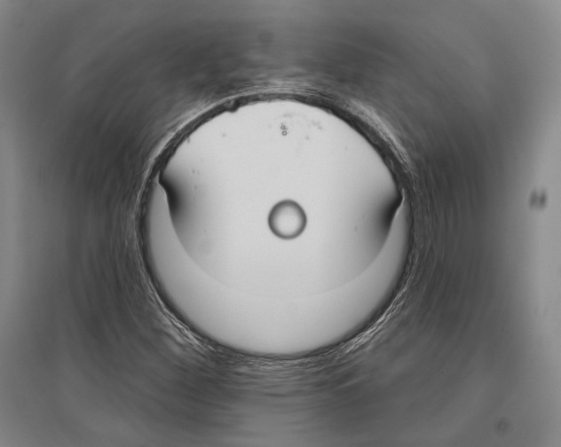 X0000096631260200803041056