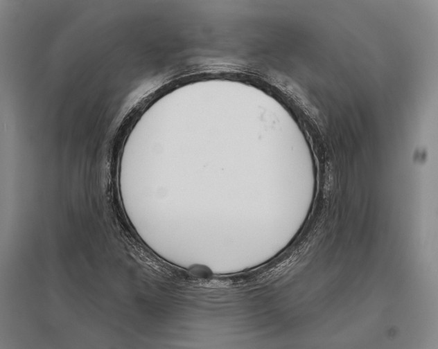 X0000096631261200803041056