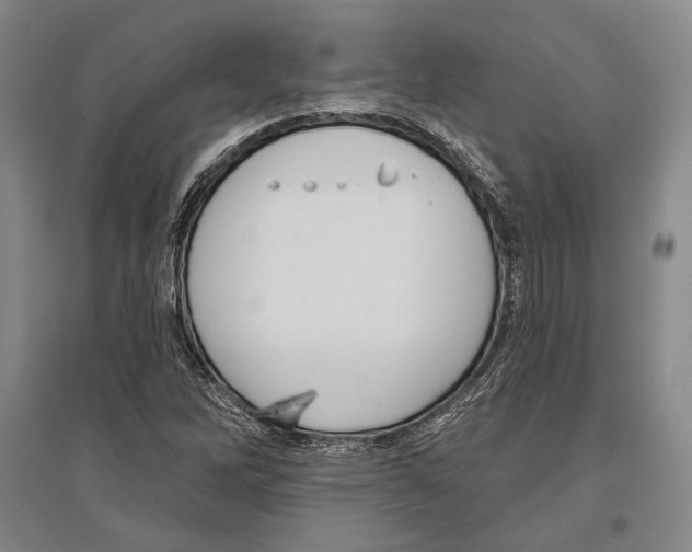 X0000096631262200803041056
