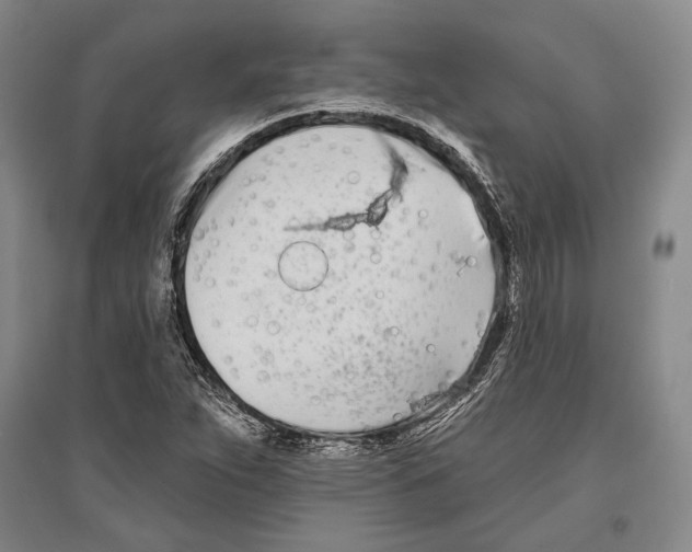 X0000096631263200803041056