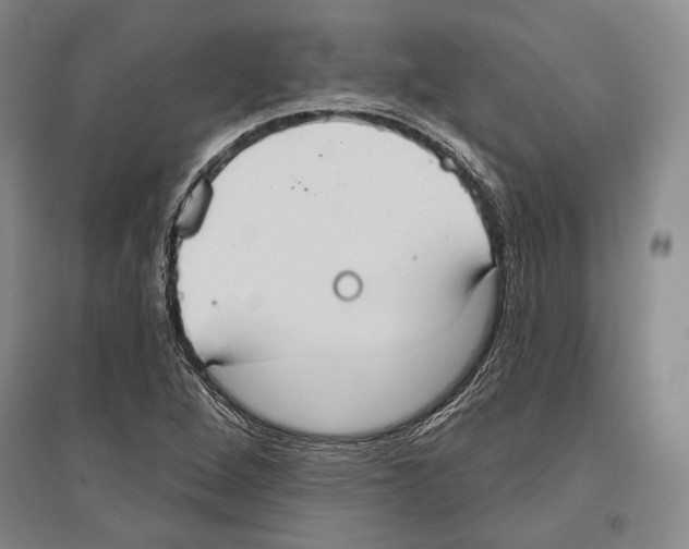 X0000096631264200803041056