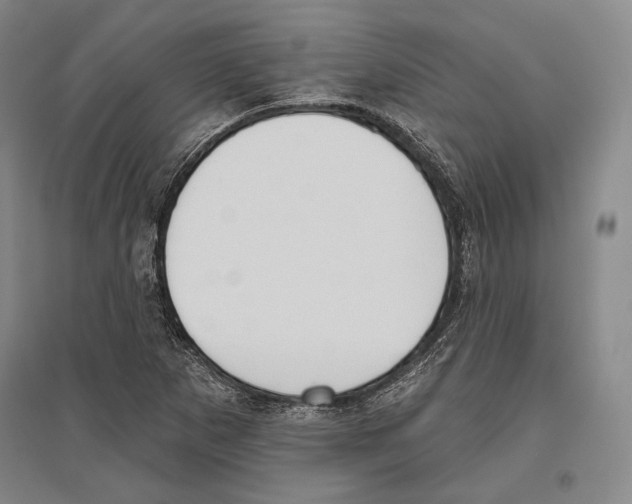 X0000096631265200803041056