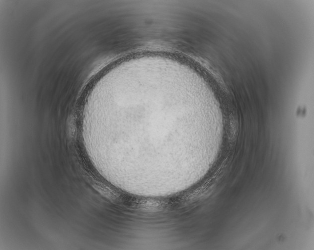 X0000096631266200803041056
