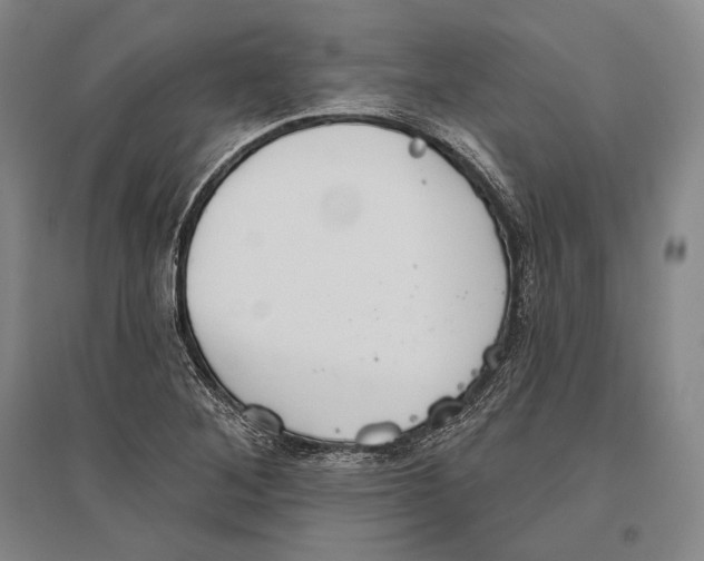 X0000096631268200803041056