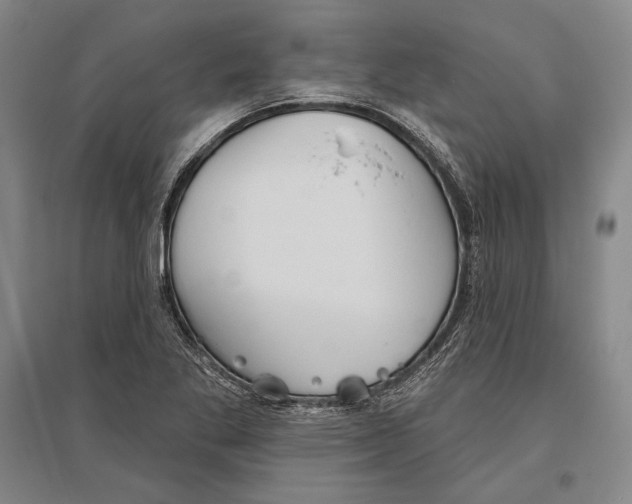 X0000096631269200803041056