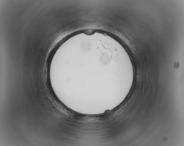X0000096631270200803041056