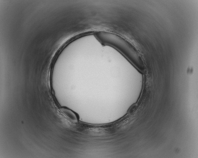 X0000096631272200803041056