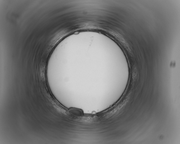 X0000096631273200803041056