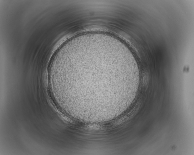 X0000096631274200803041056