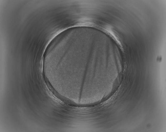 X0000096631276200803041056