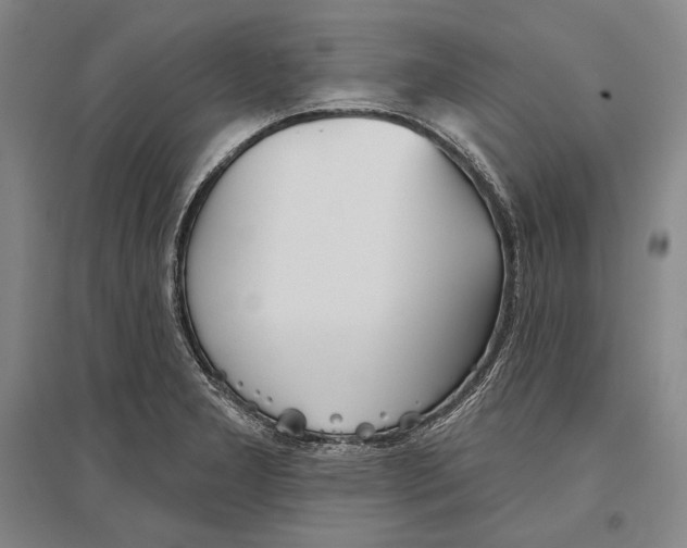 X0000096631277200803041056
