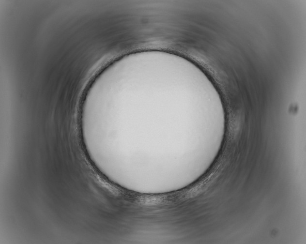 X0000096631278200803041056