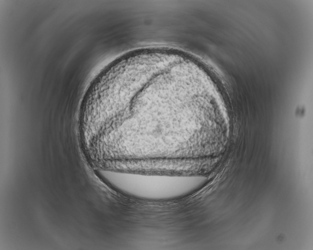 X0000096631279200803041056