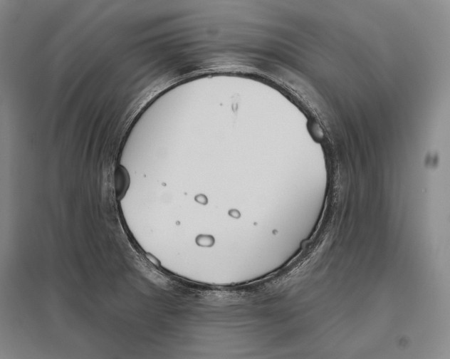 X0000096631281200803041056