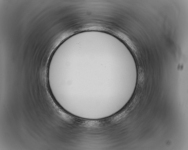 X0000096631282200803041056