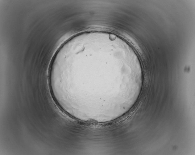 X0000096631283200803041056