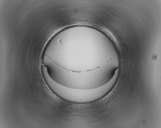 X0000096631284200803041056