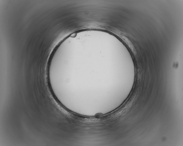 X0000096631285200803041056