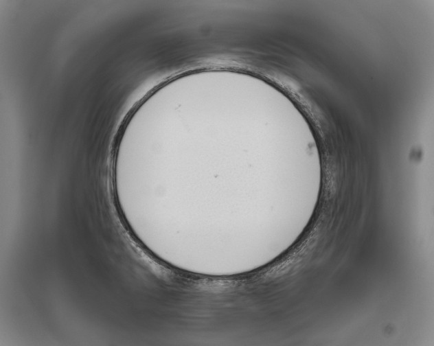 X0000096631286200803041056