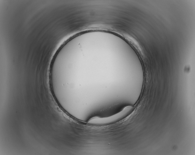 X0000096631288200803041056