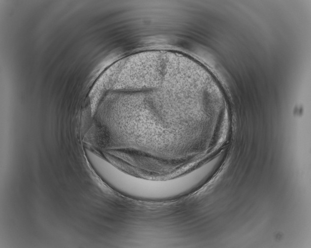 X0000096631289200803041056