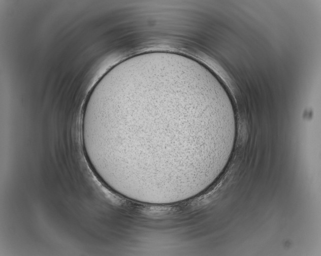 X0000096631290200803041056