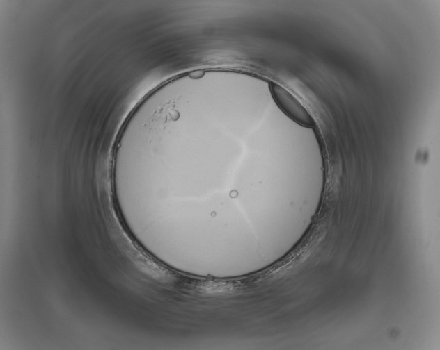 X0000096631291200803041056