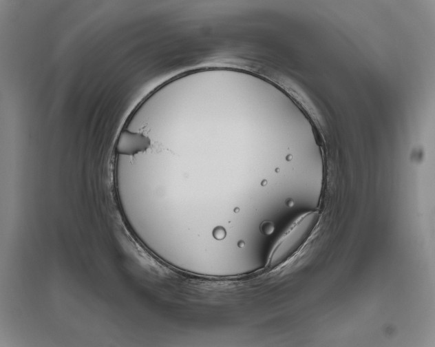 X0000096631292200803041056