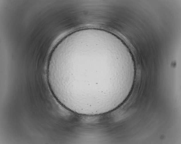 X0000096631294200803041056