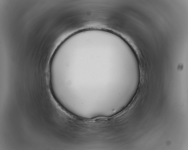 X0000096631295200803041056