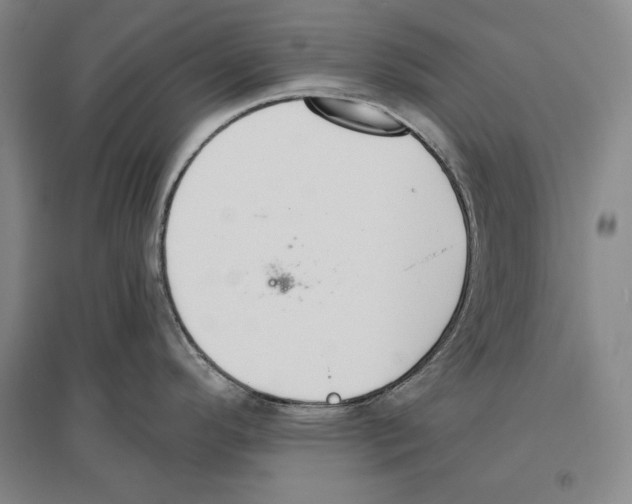 X0000096631296200803041056
