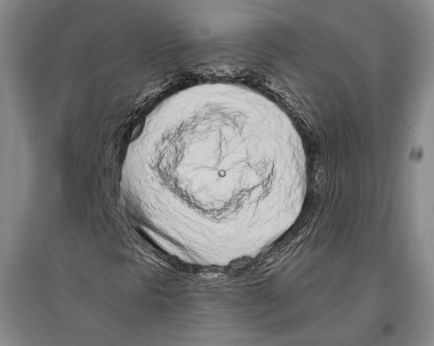 X0000096631297200803041055
